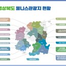 웰니스 티스토리