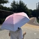 경량 양우산 5단(UPF50+) 양산겸우산 라디브 양우산 사용후기