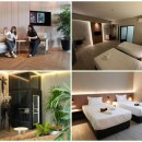 록시호텔 이미지