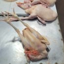 베트남 호이안 호아스패밀리 2탄. 로컬마켓투어 &amp; 코코넛보트 후기