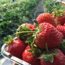 수행농장 이미지