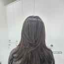 리안헤어미아 네이버블로그