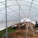 승규농장 이미지