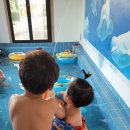 오복지펜션 이미지