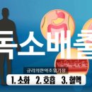 건강과아름다움 이미지