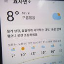 차단 안한 목청지10개 답사및 2개생존 산행.98 이미지