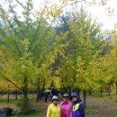 가을여행 이미지