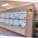 함께 있어줄개 | 함께있어줄개 강아지와의 첫 만남이 특별해요