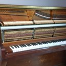 다대푸르지오아파트 이미지