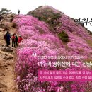 영취산민박
