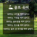 메이저골프아카데미 이미지