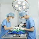 토비동물병원 이미지