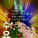 끌레망꾸꾸 이미지
