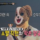 11월26일 복면가왕 지인 오마이걸 효정 주는 힌트!소멸 직전의 작은 얼굴을 가진 모르는 개 산책 영상 이미지