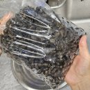 성진푸드 이미지