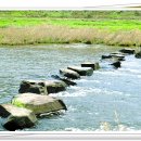 덕치초등학교 이미지