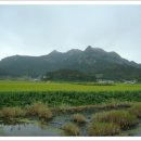 ◈ 비금도(飛禽島) 그림산(226m)·선왕산(仙旺山:255m) 산행 ◈ 이미지