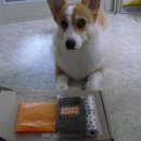 퍼피모리 이미지