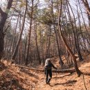 왕산1리 | [동서트레일] 울진 구간 '마을 따라 강물 따라 산길 따라'