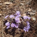 단양구경시장2 이미지