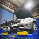 뚱모터스 이미지