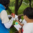 용담호수둘레길조류관찰대 | 경기도 용인 아이와 가볼만한 곳 -용담호수(용담저수지) 뚝킹