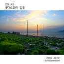 바다스토리리조트 이미지