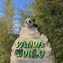 에버랜드 | [용인] 32주차 후기 임산부 비수기 주말 에버랜드 방문후기