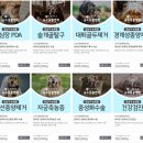 순수동물병원 이미지