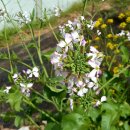 우면산5-8 이미지