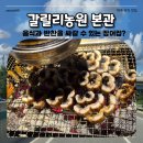 방촌로 | 파주 맛집 갈릴리농원 | 장어 3kg 순삭하고 온 가족모임 솔직후기 웨이팅 &amp; 준비물 꿀팁