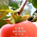 박*근 - 미추홀구 경인로380번길 41-19 | 박*근