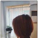 THE연헤어더 이미지