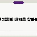 영월스키 이미지