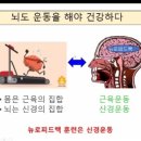윤허브