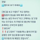 🆘️길'고양이 만졌다던 40대여성... ⚠️도내5명 환자중 1명 열흘만 에 숨졌다⚠️감염 경로 파악위해 역학 조사 진행'치명률 20% 이미지