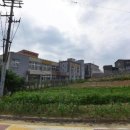 서탄초등학교병설유치원 이미지