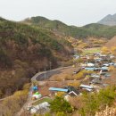 초록마늘