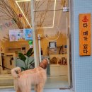 미모목욕탕 이미지