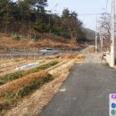 장안사진입로 이미지
