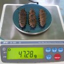 서해판매 이미지