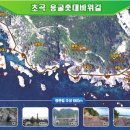 [울산트레킹클럽] 10월14일(화) 정동진 모래시계광장 바다부채길 + 용굴촛대바위길 트레킹 이미지