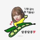 혜리콩
