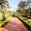 정말공원 이미지