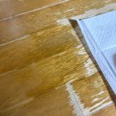 강쥐 | 요산제거 특허 똑똑강쥐 강아지 탈취제 사용 후기