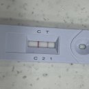 24시하나린동물의료센터 이미지