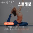 아이앤스포츠 네이버블로그