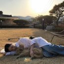 차희 티스토리