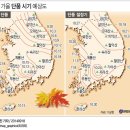 [ 가을 단풍여행 ] 절정시기 & 서울 * 전국 단풍 명소 이미지