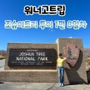 태연농장 | [워너고트립 미서부 세미패키지] 8일차 줌줌투어 조슈아트리 투어 찐 후기 (소모임 신청, 일정표 포함)